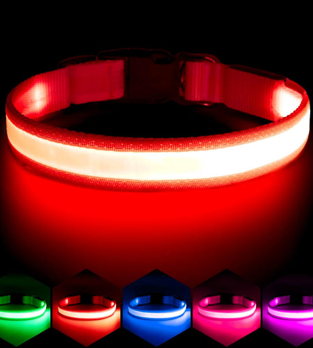 LED Dog Collar, Light up Dog Collar Adjustable USB Rechargeable Super Bright Safety Light Glowing Collars for Dogs